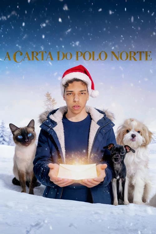 A Carta do Polo Norte