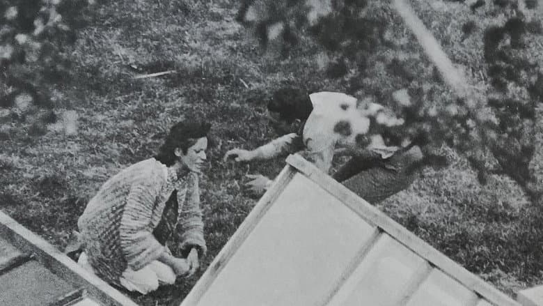 The Enclosure