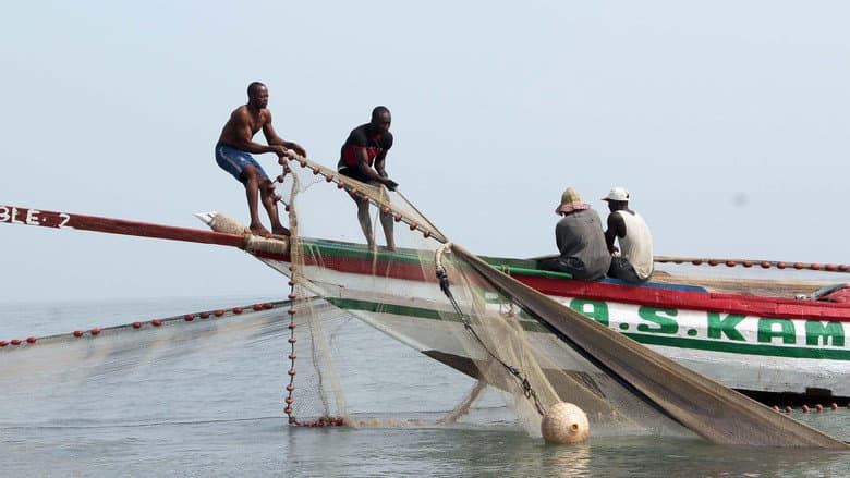 The New Boats