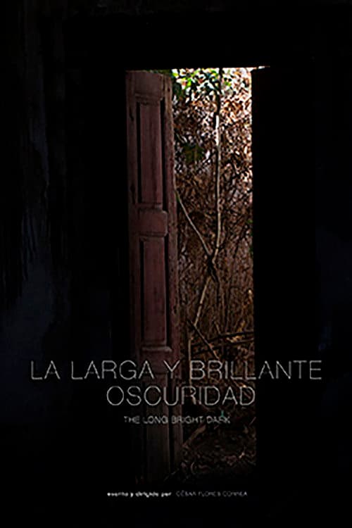 The Long Bright Dark