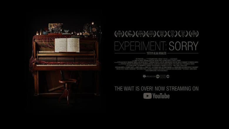 Experiment: Sorry